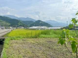四国八十八ヶ所霊場 第64番札所 前神寺〜伊予三島駅
