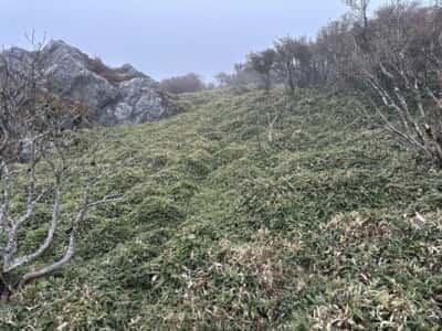 土佐矢筈山・小桧曽山