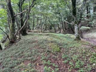 矢筈山・石堂山